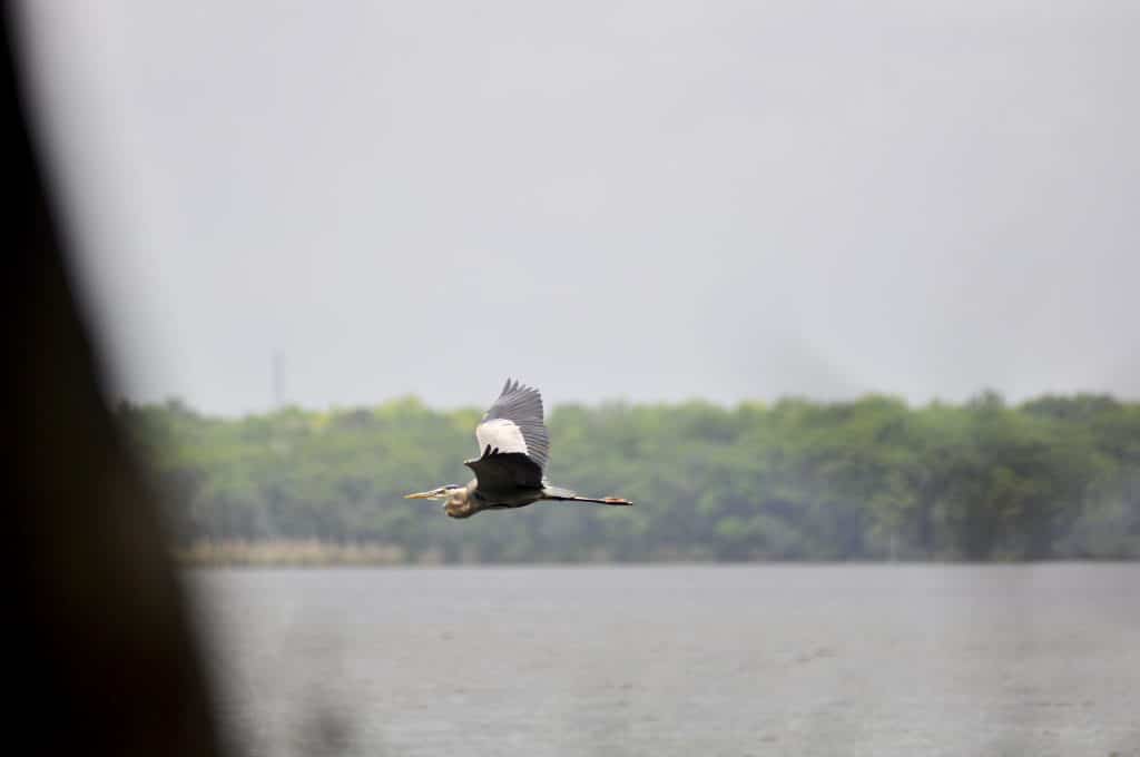 A crane