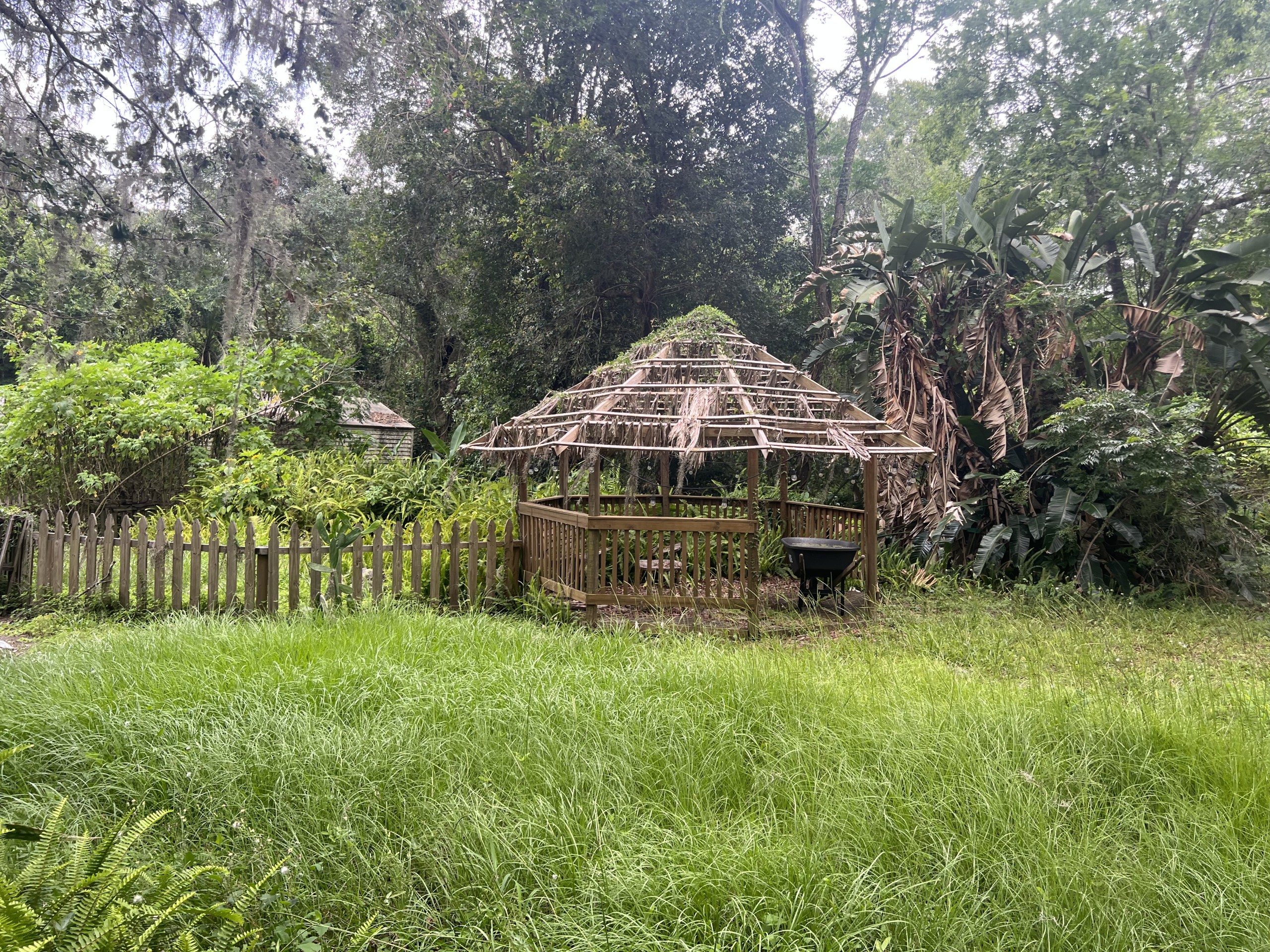 The Institute once hosted visitors who wanted to learn about the 14,000 turtle and tortoise specimens housed there. Photo by Eric Orvieto.  