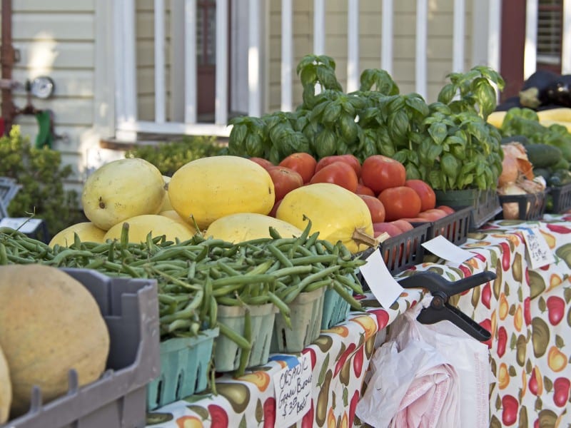Organic farmers market Oviedo