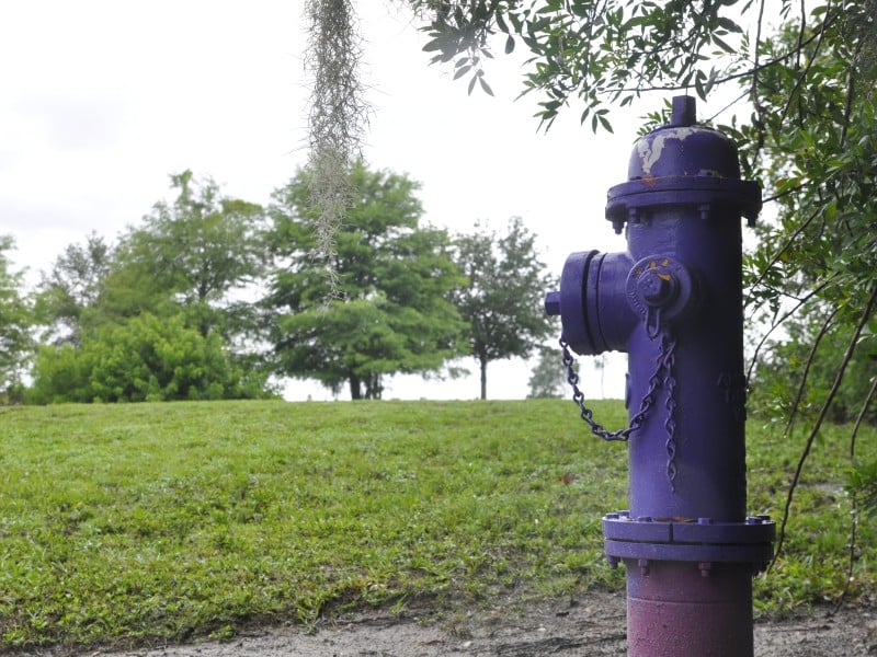 fire hydrant