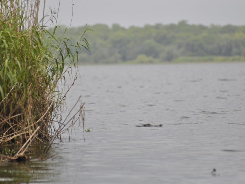 An image of Lake Jesup