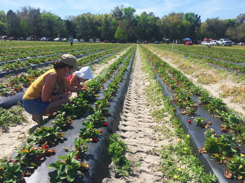 Rural boundary WInter Springs