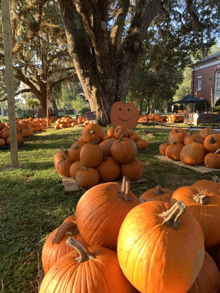 fall festivals pumpkin FUMC