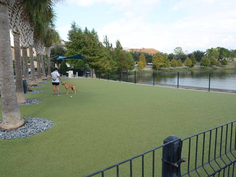 The dog park at Oviedo on the Park is where a local National Dog Day event will be held this weekend.