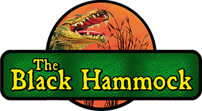 The Black Hammock hosts events throughout the fall