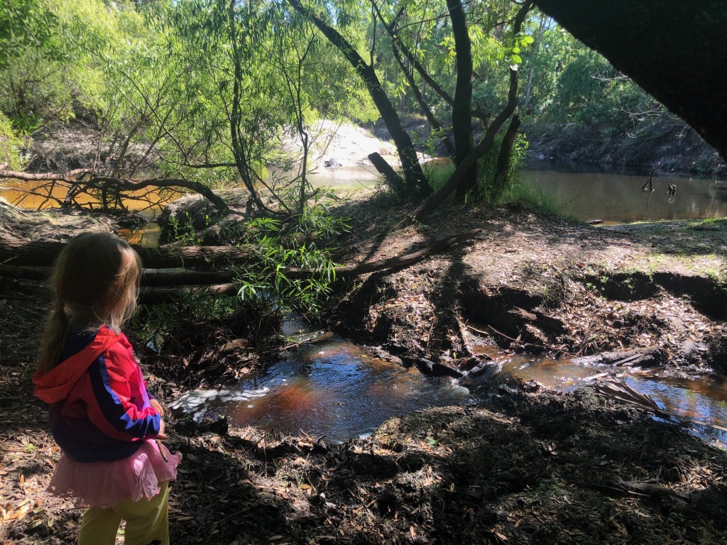 Natural lands Seminole County Yarborough