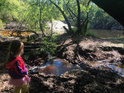 Natural lands Seminole County Yarborough