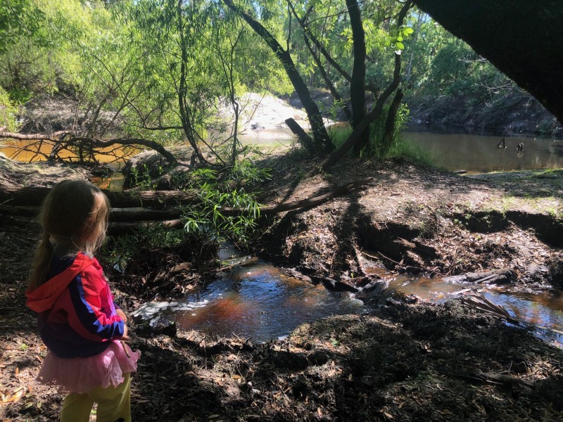 Natural lands Seminole County Yarborough