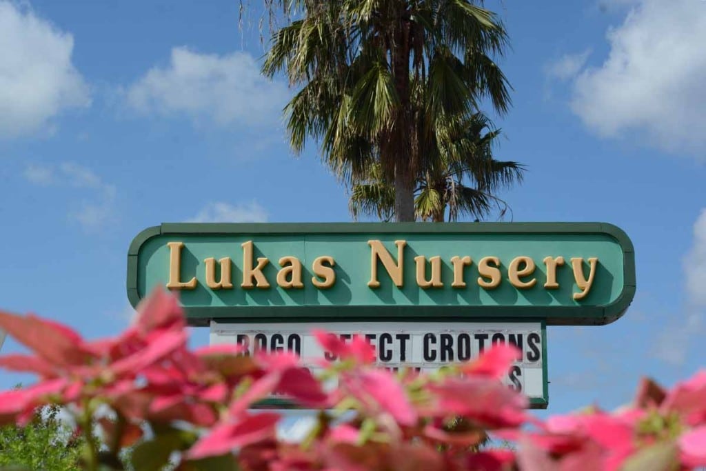 Lukas Nursery's plant propagation class is this Sunday.