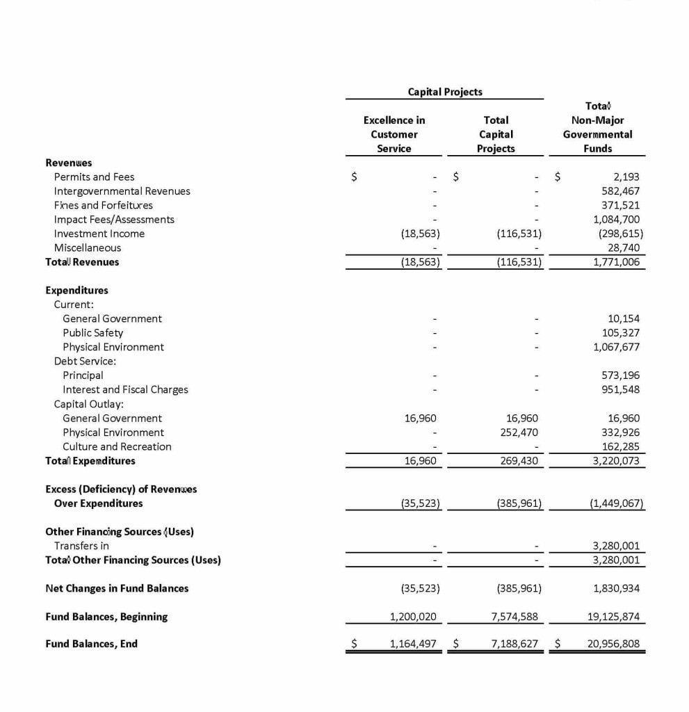 Winter Springs unaudited preliminary financial statement