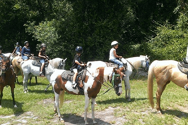 Oviedo spring break camp horseback riding