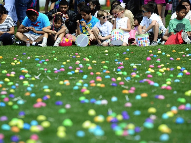 Easter photos egg hunt