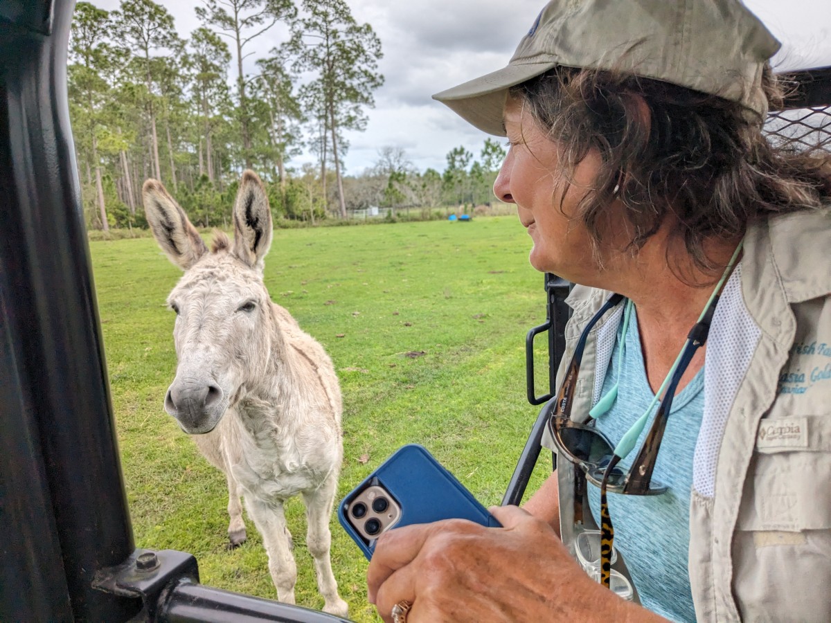 Could saving farms help conserve Florida's coveted Corridor lands ...