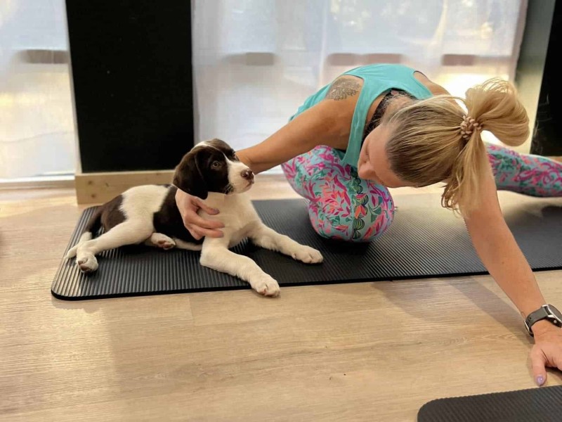 Mother's Day puppy yoga
