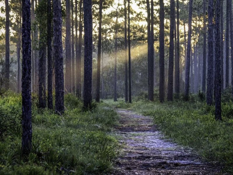 favorite things list Econ River Wilderness