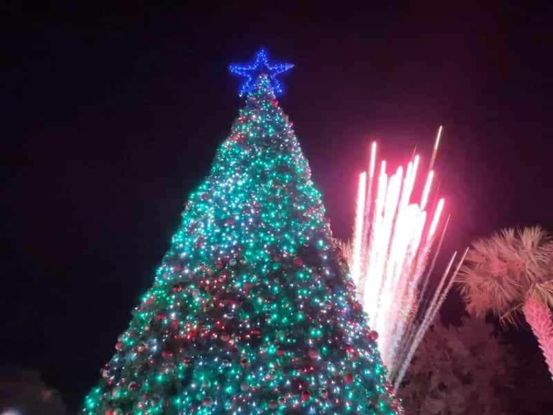 Oviedo Christmas tree holiday events