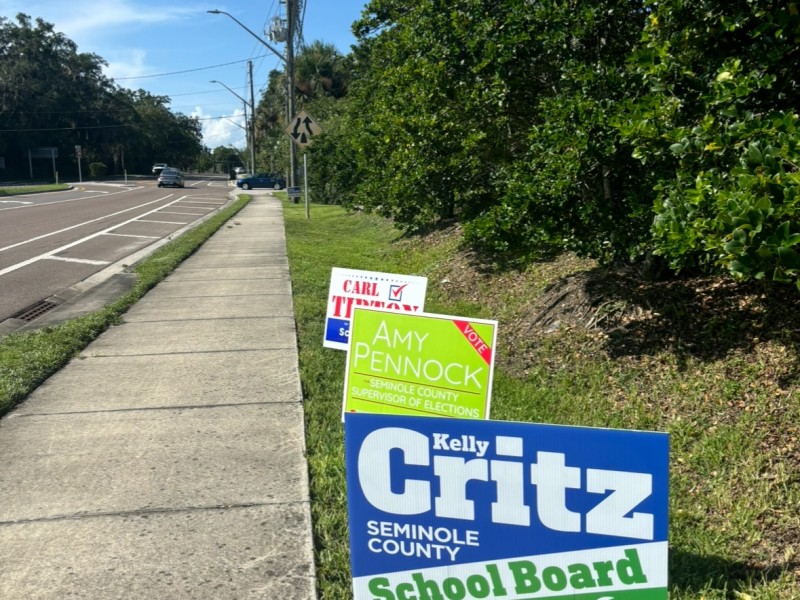 Campaign signs on Central Ave. These signs are considered to be in the right-of-way.