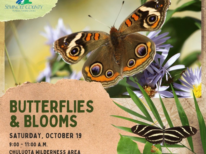 A slew of fall fests plus butterflies and halloween events Oviedo Winter Springs