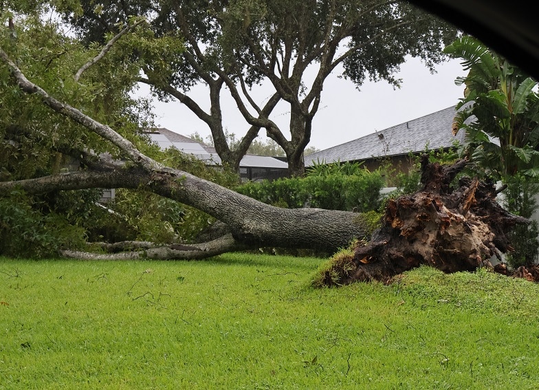 Oviedo flooding hurricane milton damage tornado