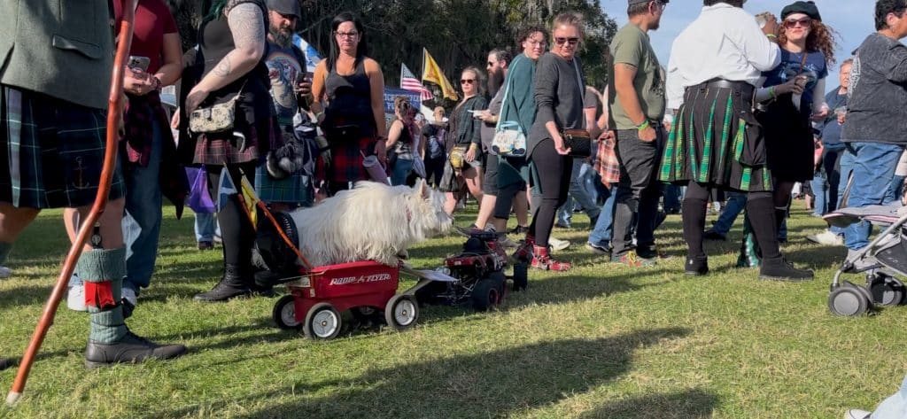 Scottish Highland Games