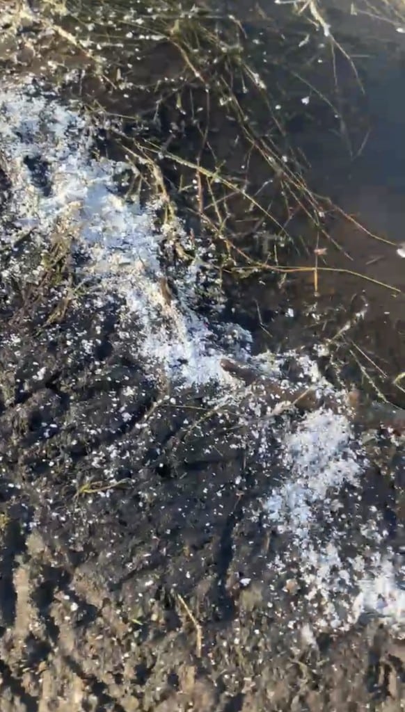 The Styrofoam on the shore before any cleanup was performed