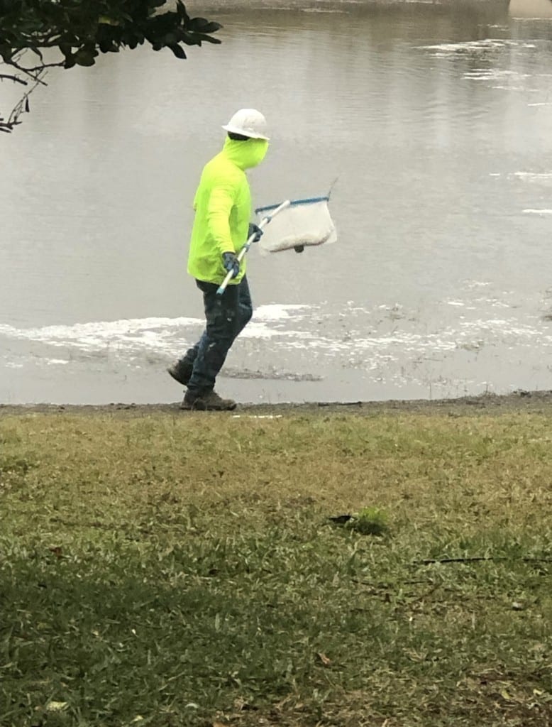 A construction worker removing debris from the pond with a net in January