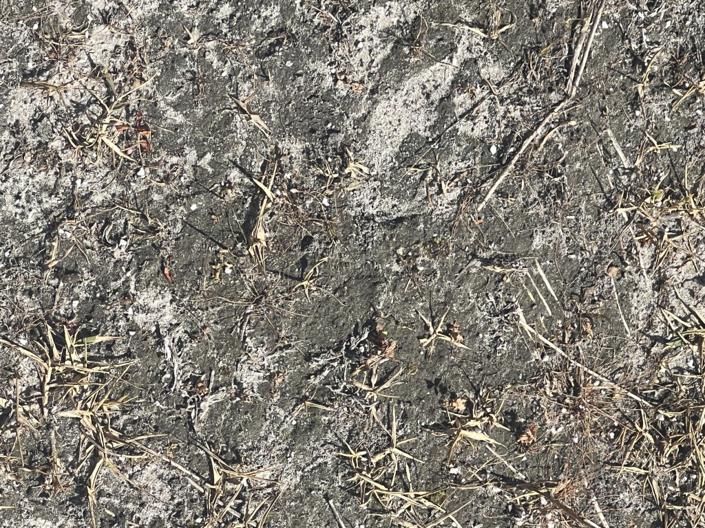 After cleanup, small Styrofoam pieces remain embedded along the shore of the retention pond.