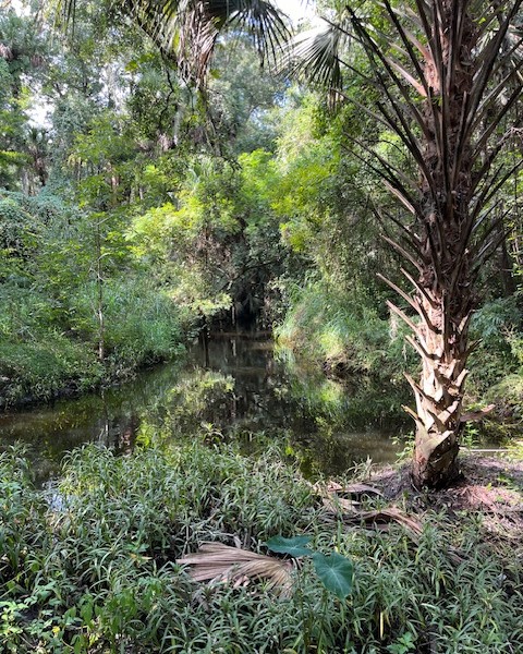 Rural development restrictions Seminole County