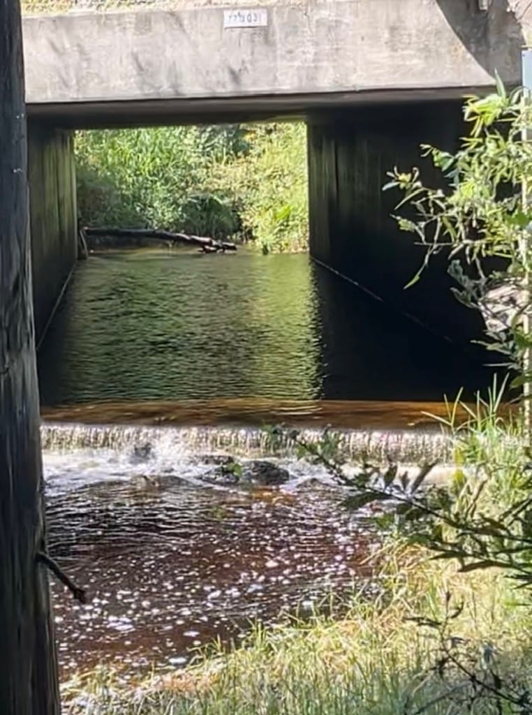 Winter Springs stormwater culvert