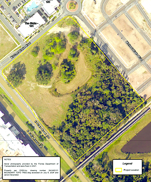 Winter Springs trees