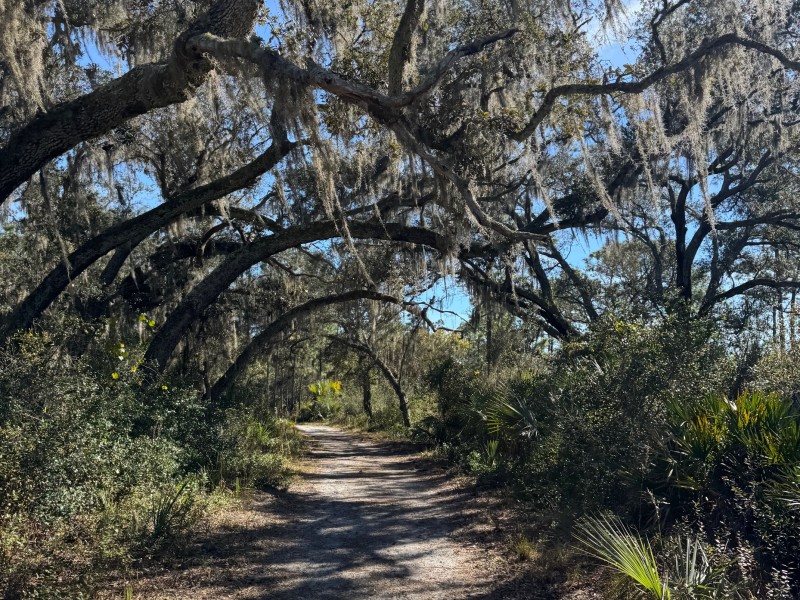 Attorney general questions legality of rural boundaries in Orange, Seminole