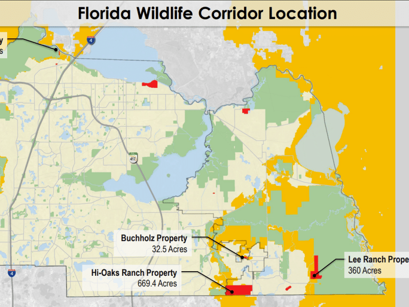 Florida Forever approves putting Hi Oaks Ranch on list for possible future conservation in 2027