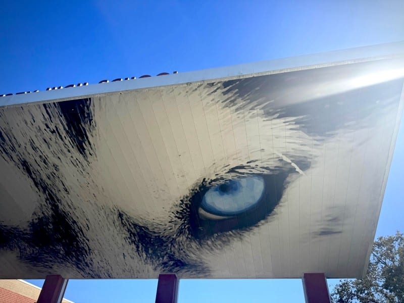 Life as a Hagerty transgender student, explained