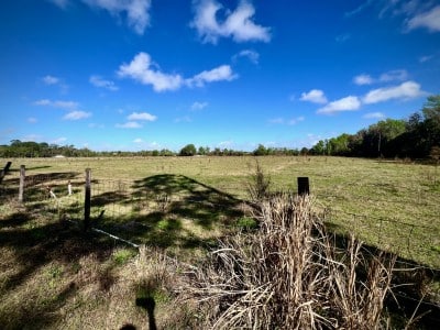 Pappy's Patch in Oviedo Seminole County rural boundary