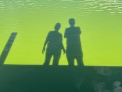 Fish kill Winter Springs