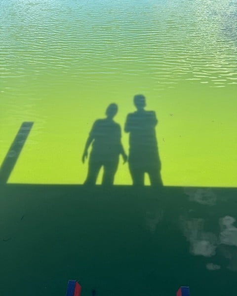 Fish kill Winter Springs