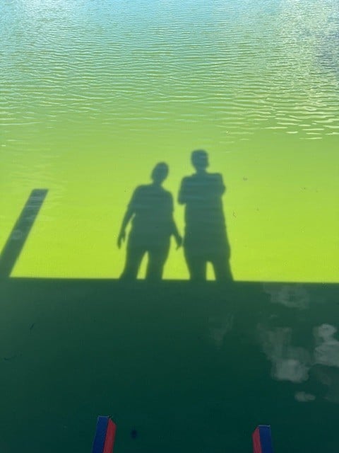 Fish kill Winter Springs