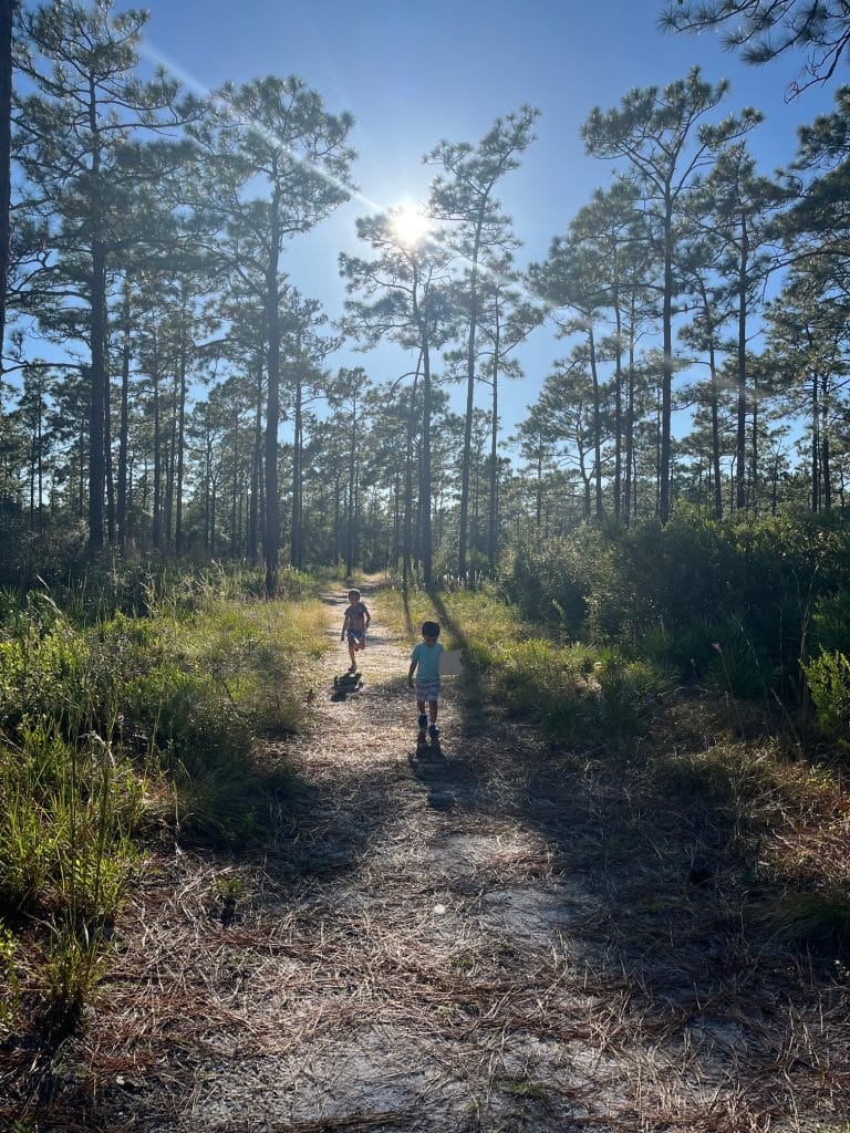 McCulloch Road Econ Wilderness Area