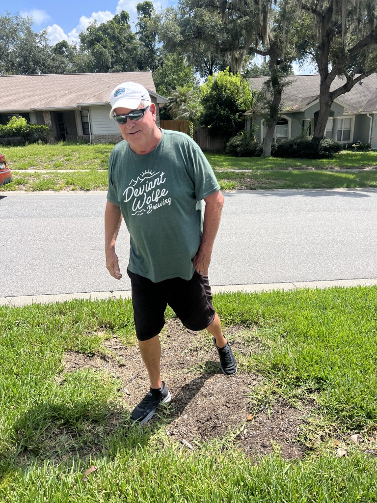 Winter Springs tree removal
