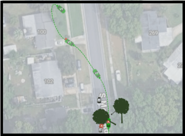 Winter Springs tree removal