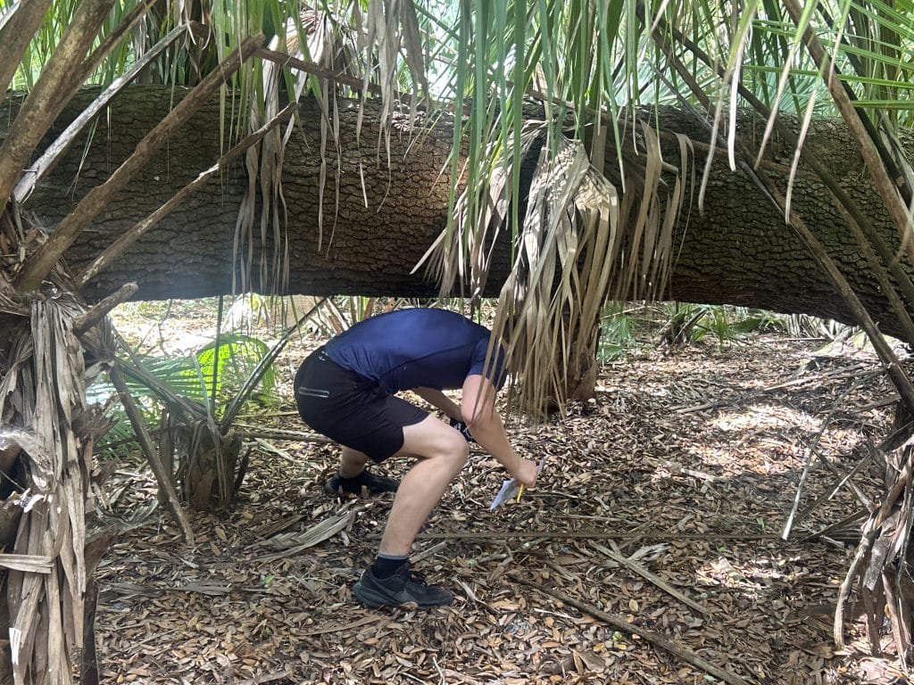 Orienteering Oviedo O-Maze Jacob Stepanek trees
