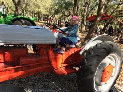 Florida constitutional amendments tractors